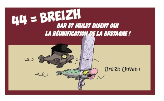 Bar-et-mulet-2019-44breizh